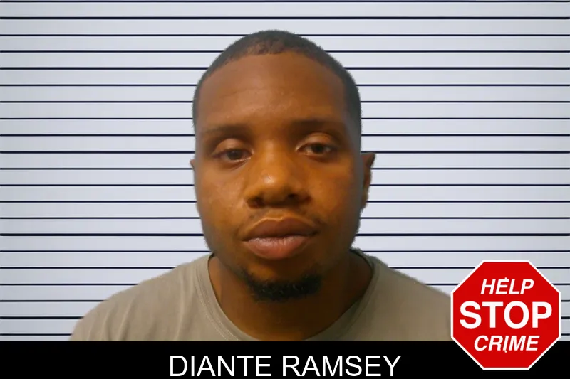 Diante Ramsey mugshot – Franklin County , Georgia Diante Ramsey mugshot
