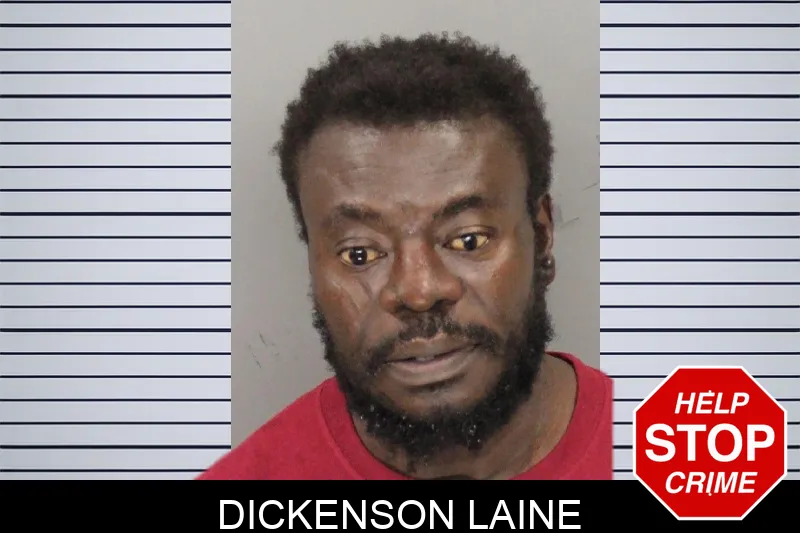 Dickenson Laine mugshot