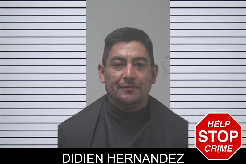 Didien Hernandez mugshot – Coweta County , Georgia Didien Hernandez mugshot