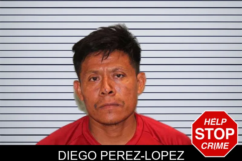 Diego Perez-Lopez mugshot – Grady County , Georgia Diego Perez-Lopez mugshot