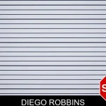Diego Robbins mugshot