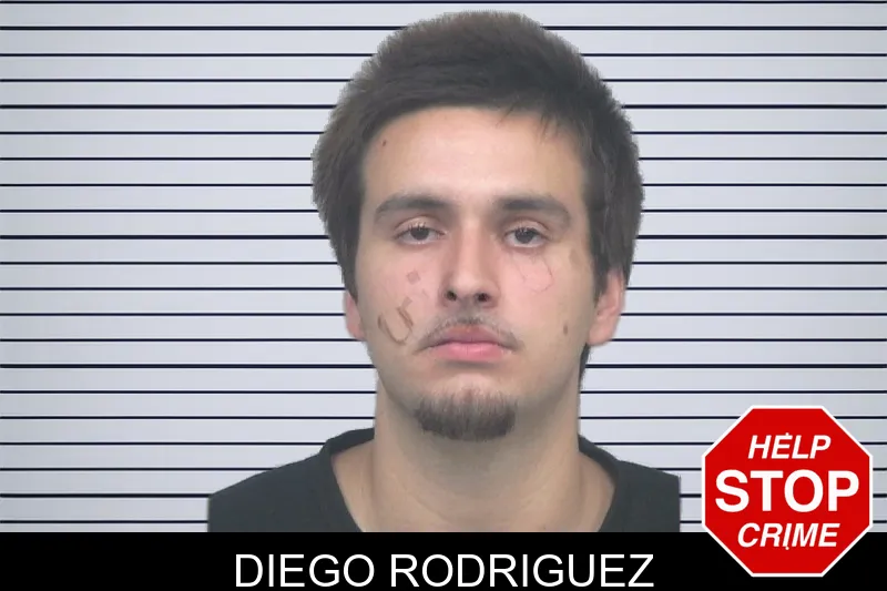 Diego Rodriguez mugshot – Gwinnett County , Georgia Diego Rodriguez mugshot