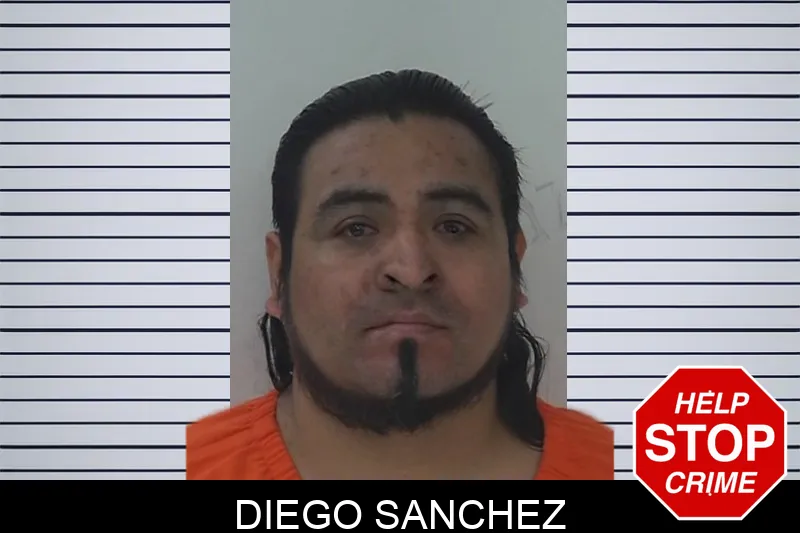 Diego Sanchez mugshot