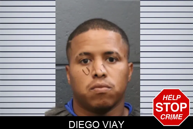 Diego Viay mugshot