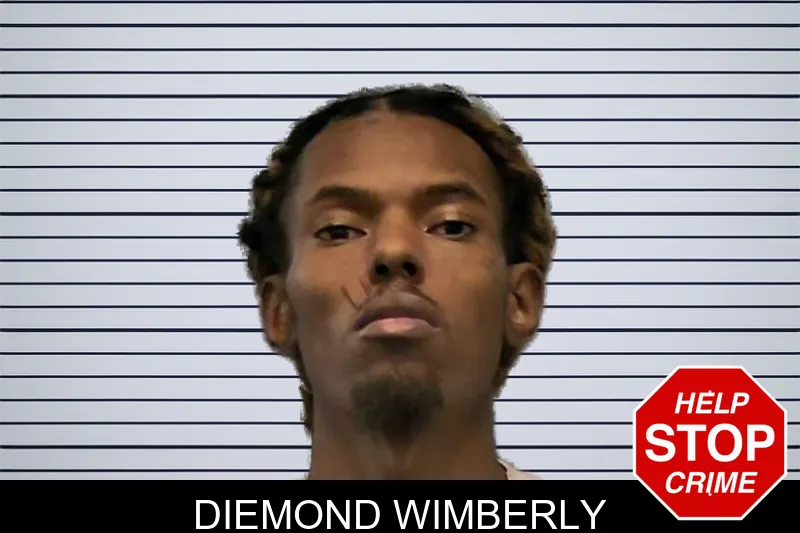 Diemond Wimberly mugshot – Ware County , Georgia Diemond Wimberly mugshot