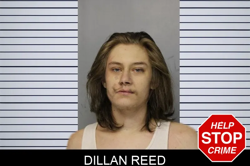 Dillan Reed mugshot