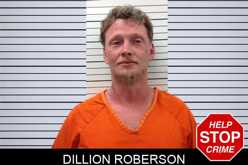 Dillion Roberson mugshot
