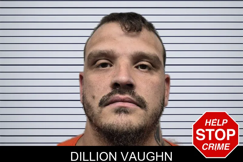 Dillion Vaughn mugshot – Dade County , Georgia Dillion Vaughn mugshot