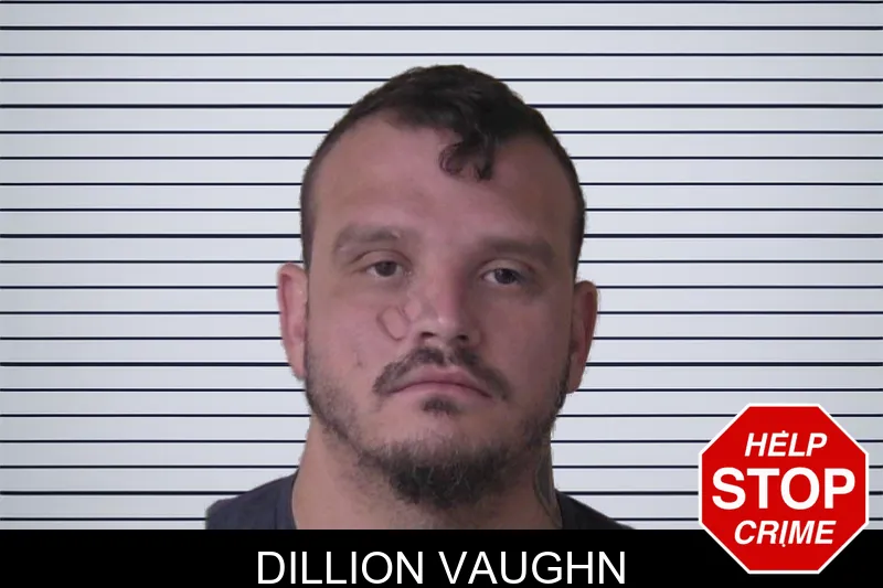 Dillion Vaughn mugshot – Walker County , Georgia Dillion Vaughn mugshot