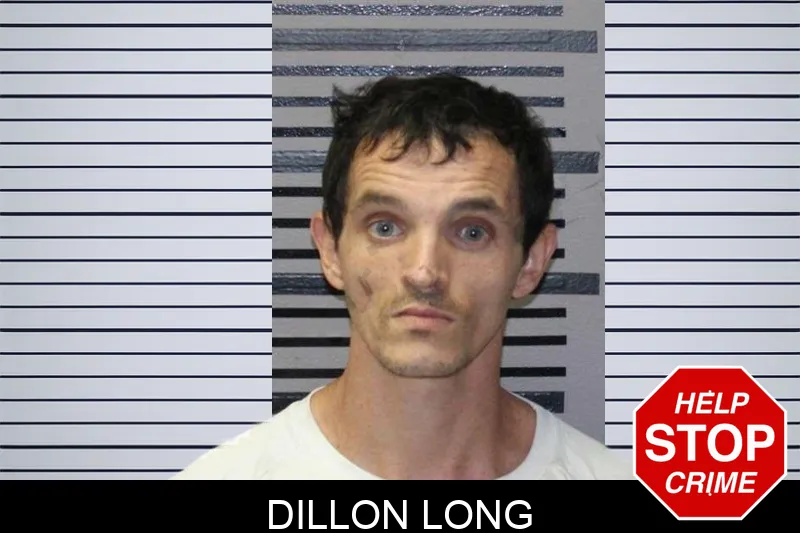 Dillon Long mugshot