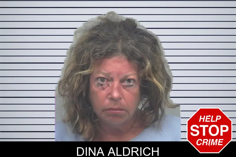 Dina Aldrich mugshot – Gwinnett County , Georgia Dina Aldrich mugshot