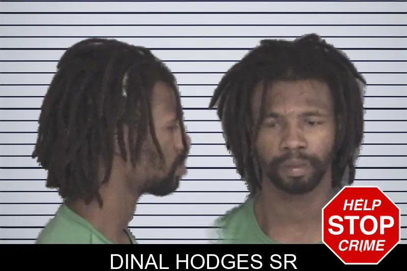Dinal Hodges Sr mugshot