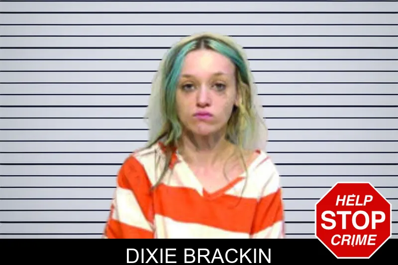 Dixie Brackin mugshot