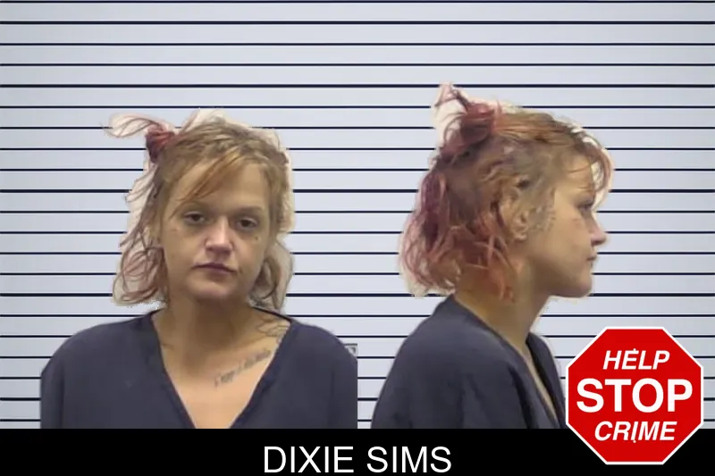 Dixie Sims mugshot – Clarke County , Georgia Dixie Sims mugshot
