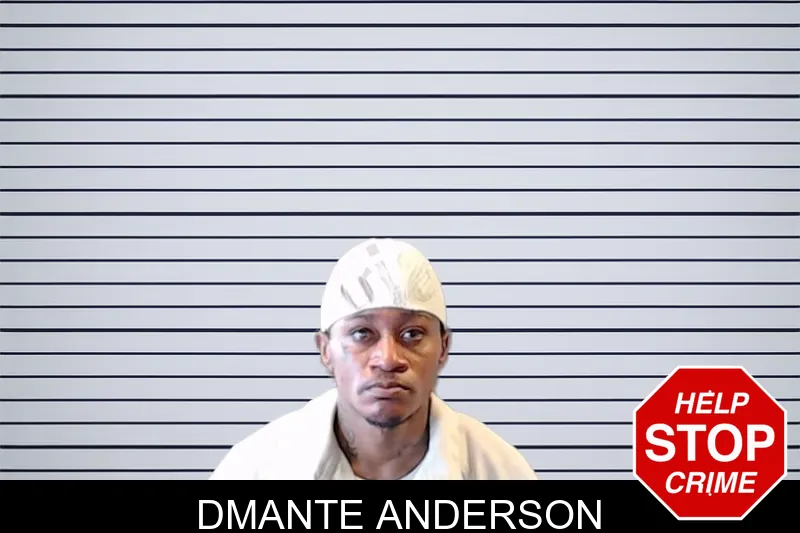 Dmante Anderson mugshot – DeKalb County , Georgia Dmante Anderson mugshot