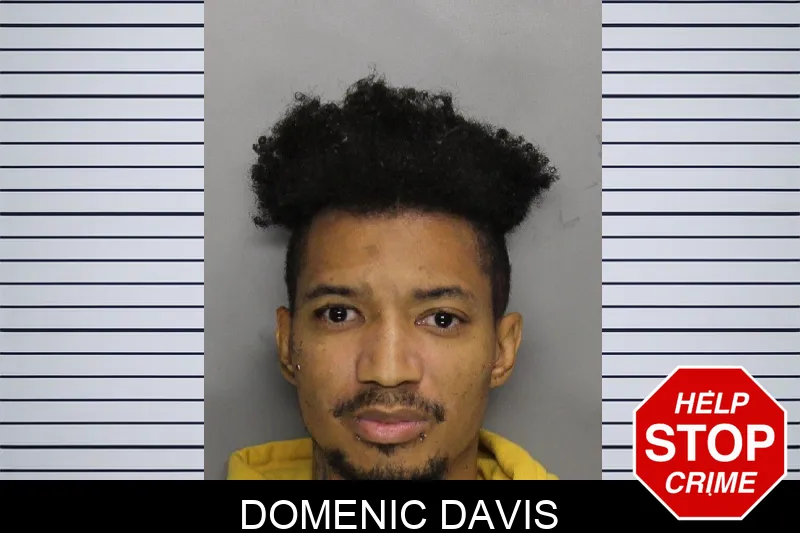 Domenic Davis mugshot