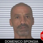 Domenico Spongia mugshot
