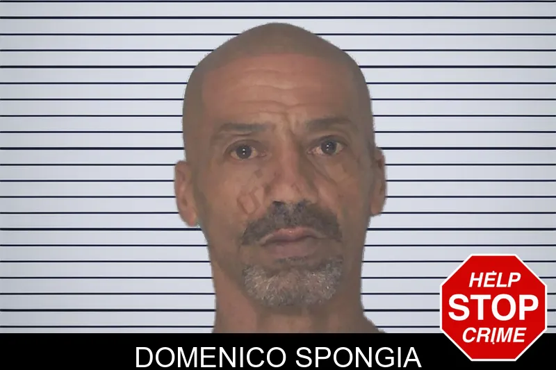 Domenico Spongia mugshot – Douglas County , Georgia Domenico Spongia mugshot