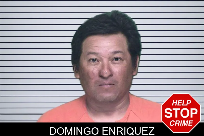 Domingo Enriquez mugshot – Appling County , Georgia Domingo Enriquez mugshot