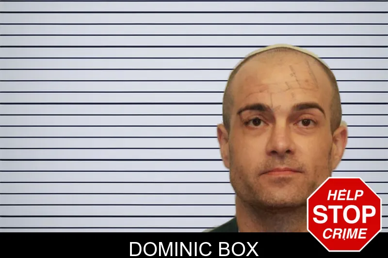 Dominic Box mugshot