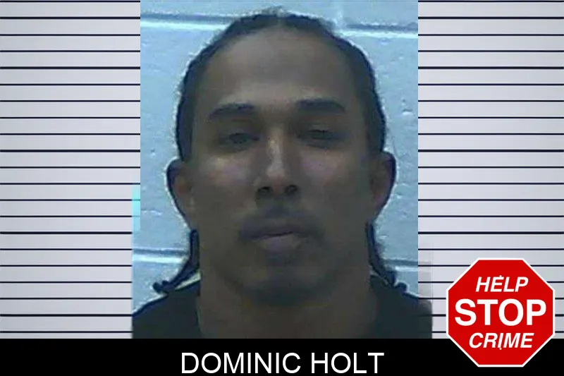 Dominic Holt mugshot
