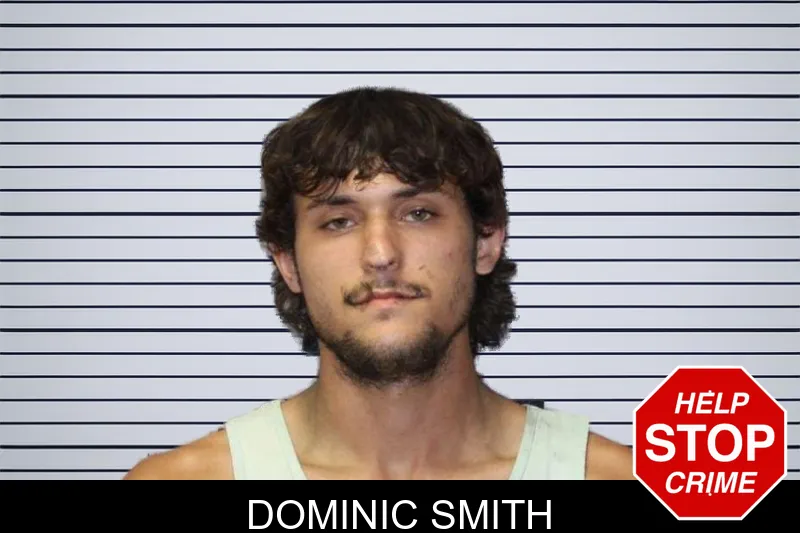 Dominic Smith mugshot