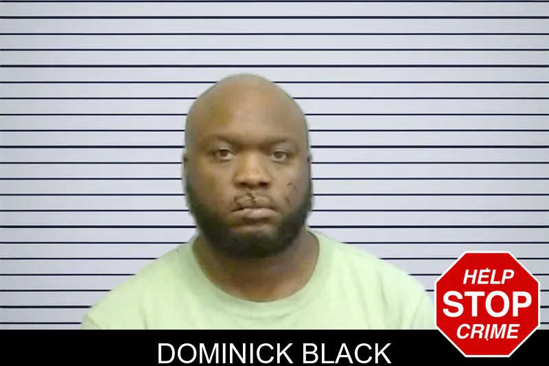 Dominick Black mugshot – Fulton County , Georgia Dominick Black mugshot
