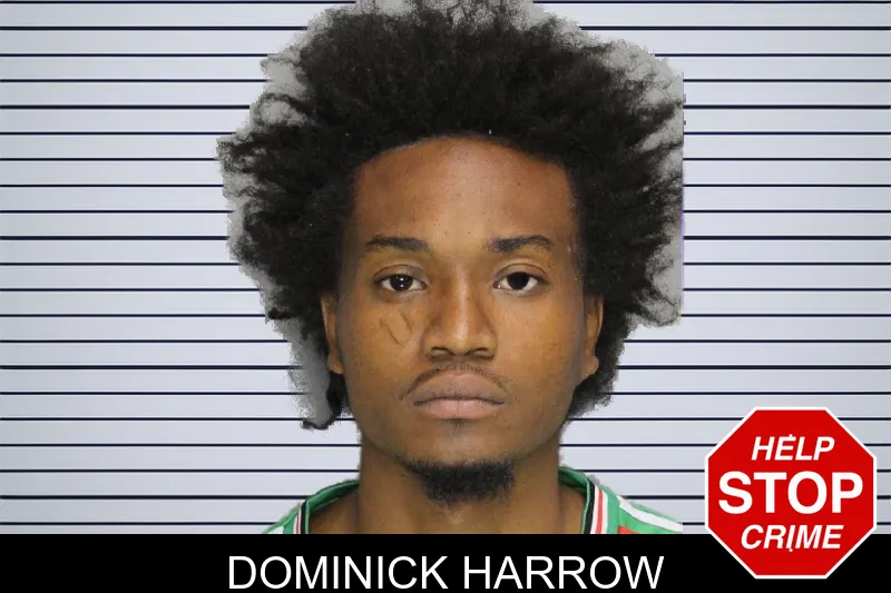 Dominick Harrow mugshot – Cobb County , Georgia Dominick Harrow mugshot