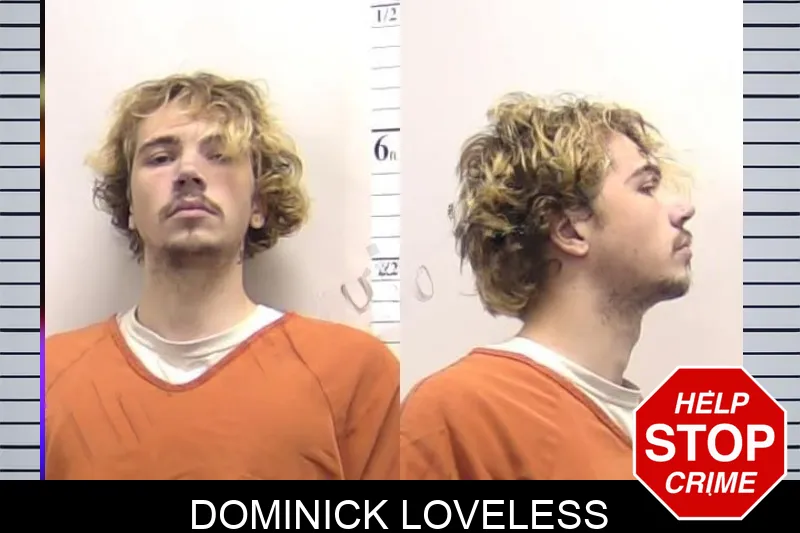 Dominick Loveless mugshot