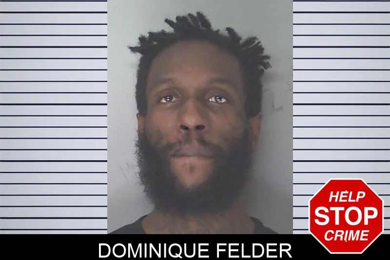 Dominique Felder mugshot – Douglas County , Georgia Dominique Felder mugshot