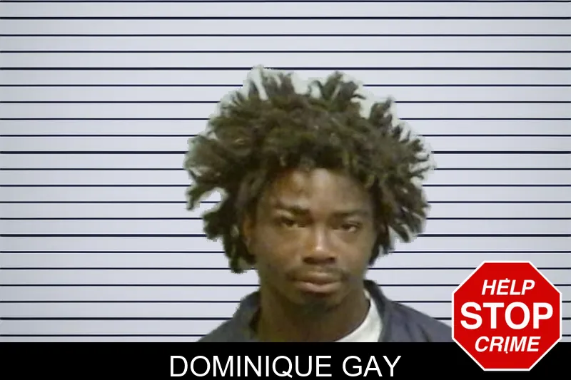 Dominique Gay mugshot – Fulton County , Georgia Dominique Gay mugshot