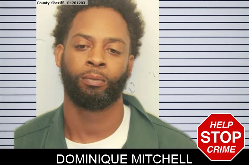 Dominique Mitchell mugshot