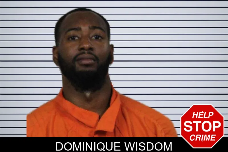 Dominique Wisdom mugshot