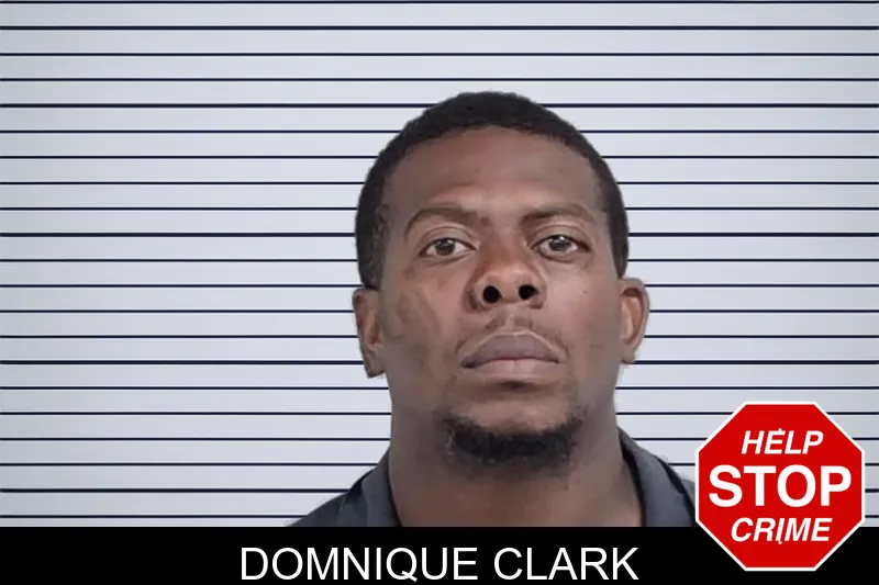 Domnique Clark mugshot – Lowndes County , Georgia Domnique Clark mugshot