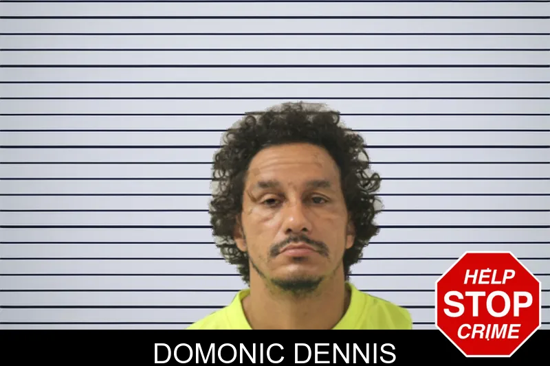 Domonic Dennis mugshot – Toombs County , Georgia Domonic Dennis mugshot