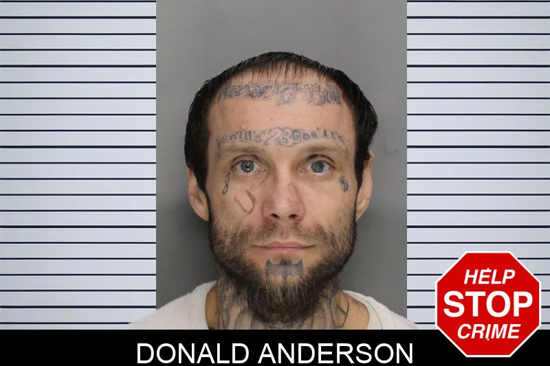 Donald Anderson mugshot