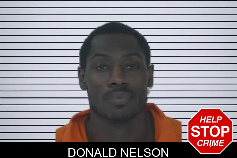 Donald Nelson mugshot