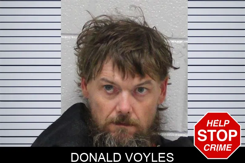 Donald Voyles mugshot