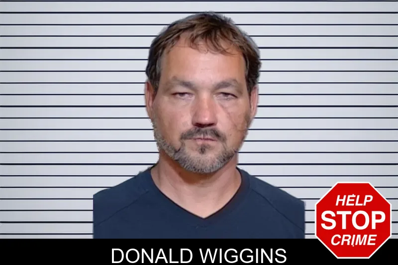 Donald Wiggins mugshot