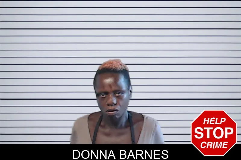Donna Barnes mugshot – DeKalb County , Georgia Donna Barnes mugshot