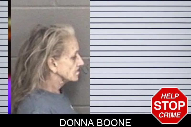 Donna Boone mugshot