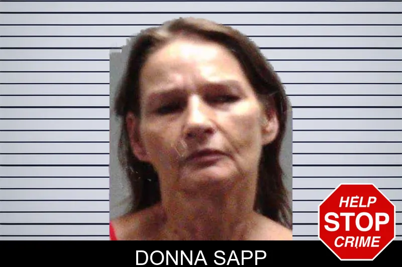 Donna Sapp mugshot