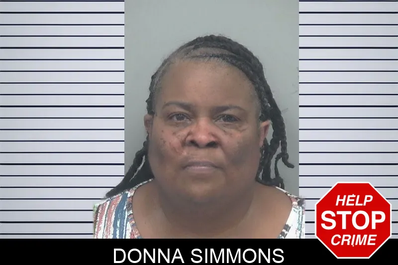 Donna Simmons mugshot