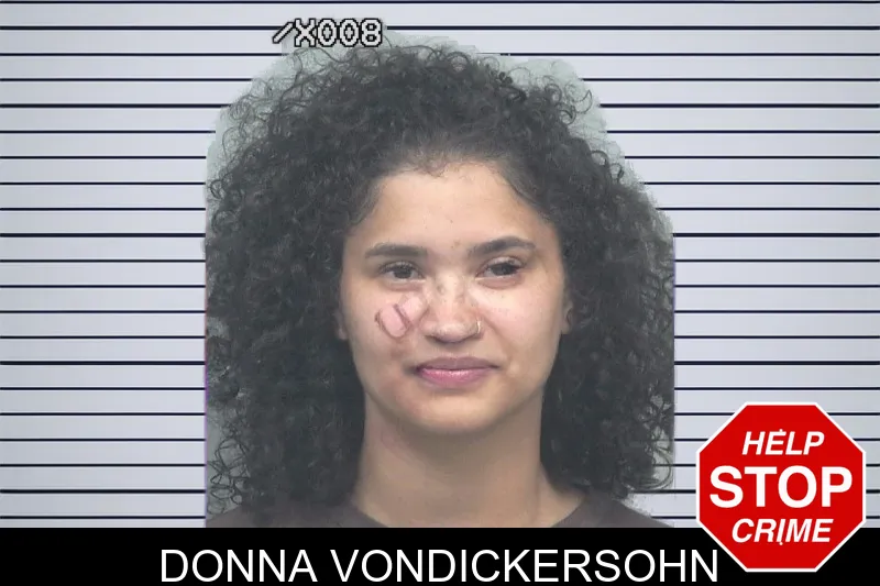 Donna Vondickersohn mugshot