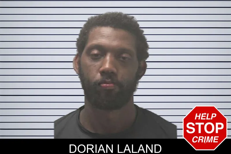 Dorian Laland mugshot