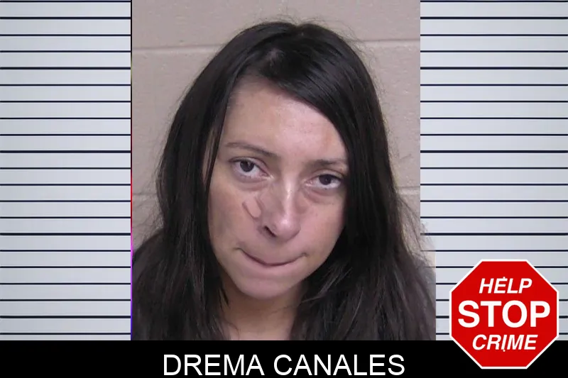 Drema Canales mugshot – Walker County , Georgia Drema Canales mugshot
