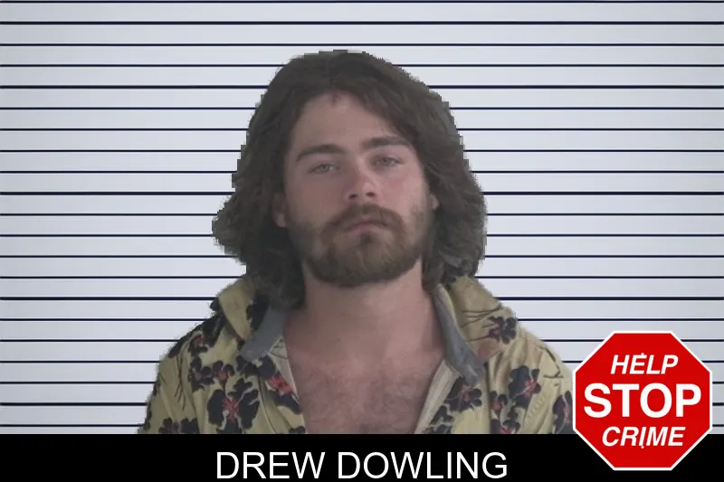 Drew Dowling mugshot