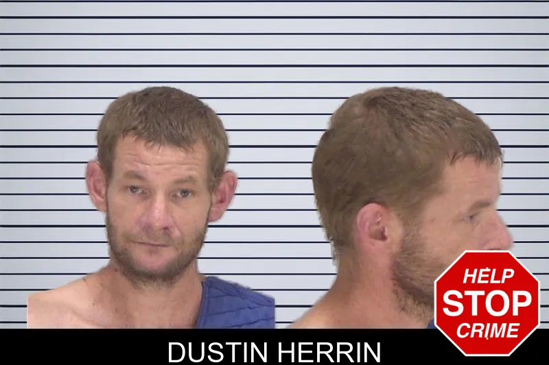 Dustin Herrin mugshot