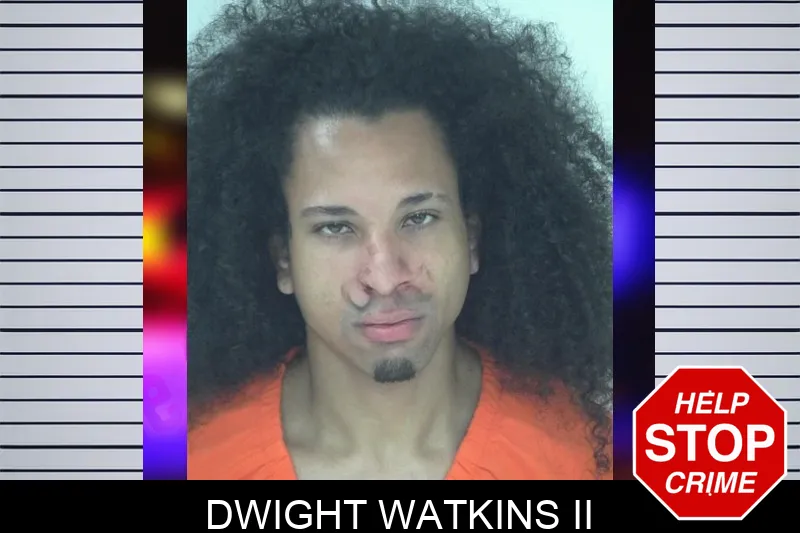 Dwight Watkins II mugshot – Fayette County , Georgia Dwight Watkins II mugshot