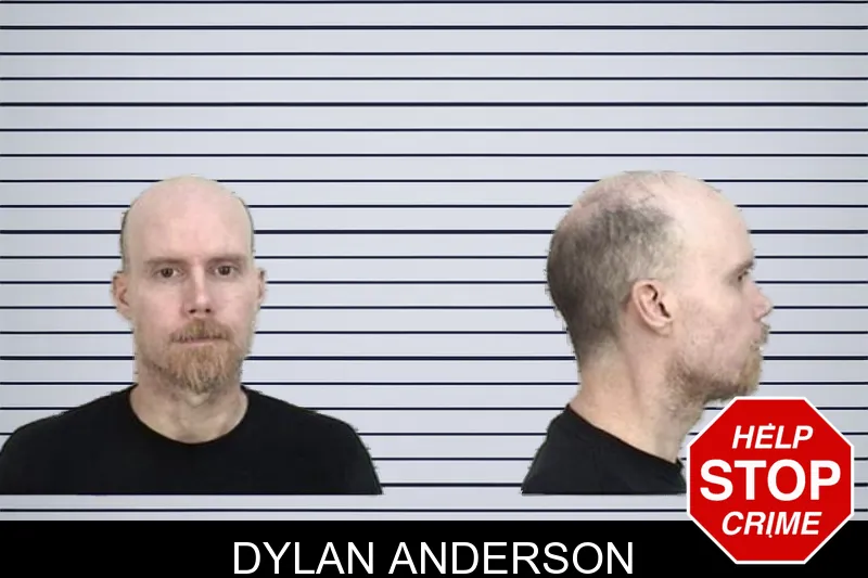 Dylan Anderson mugshot